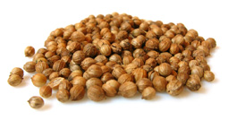 Corriander Seeds Corriander Seeds